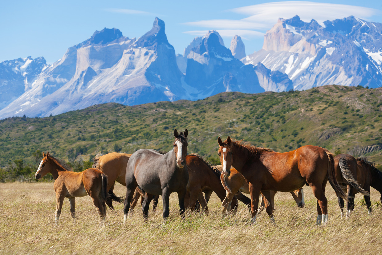 Jihoamerické Chile – parádní letenky z Prahy a návratem do Mnichova za 12 960 Kč